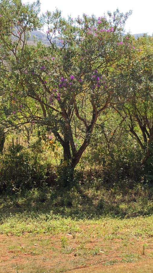 Chales Maricota 바르젱 보니타 외부 사진